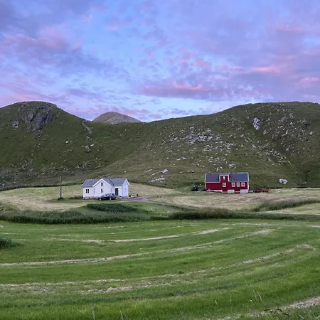 Arctic Waves Cottage, Haukland לקנס